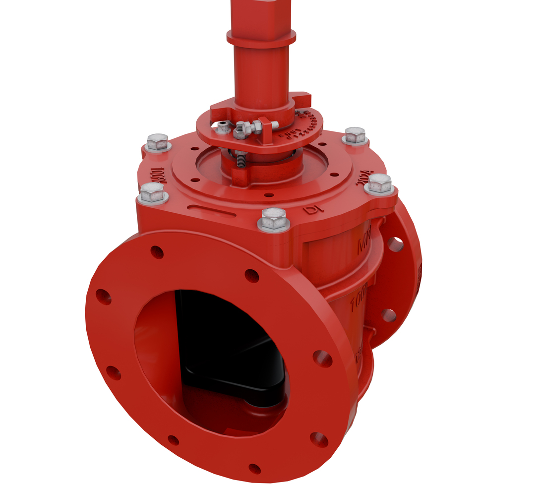 Eccentric Plug Valves Photo #11